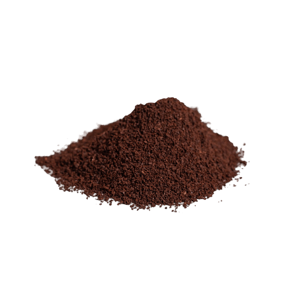 MOMENTUM BREW