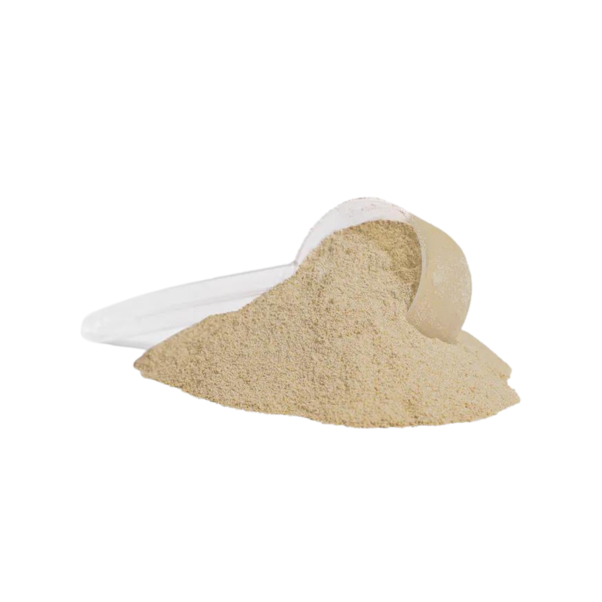 ELITE WHEY ISOLATE (Vanilla)