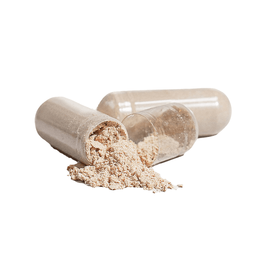 LION'S MANE NEOROFUEL