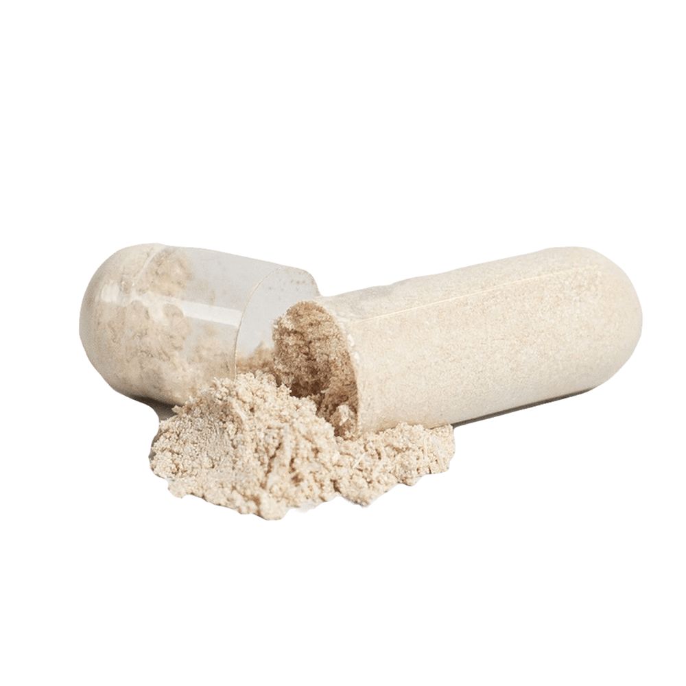 CATALYST